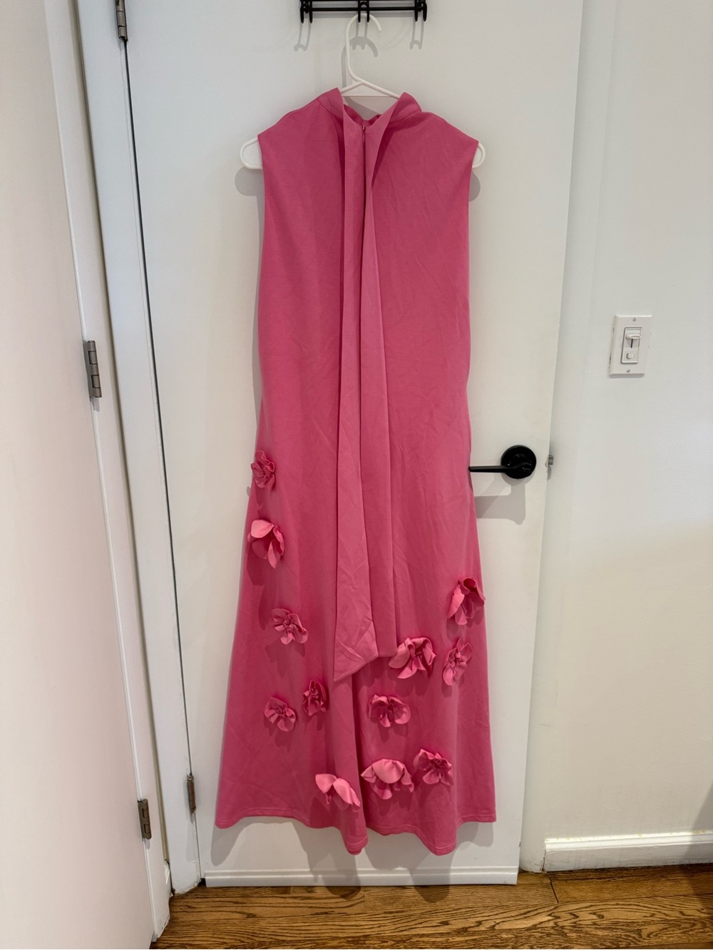 Sleeveless Pink Maxi Dress with 3D Floral Appliqués - Picture 3 of 6